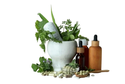 Herbal Products in Pakistan