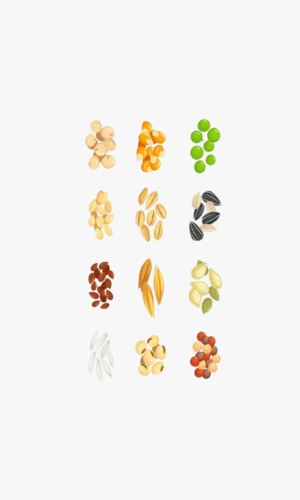 A seeds price in pakistan