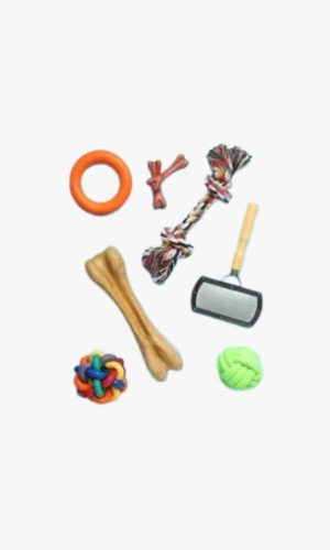 Dog Supplies