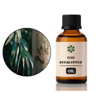 eucalyptus oil for skin 0