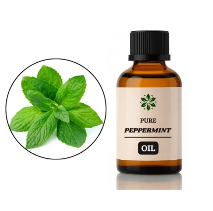 peppermint oil pakistan