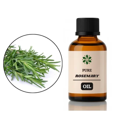rosemary essential oil for hair growth 0