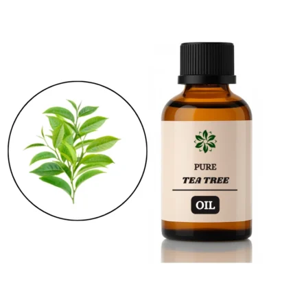 tea tree oil price in pakistan a