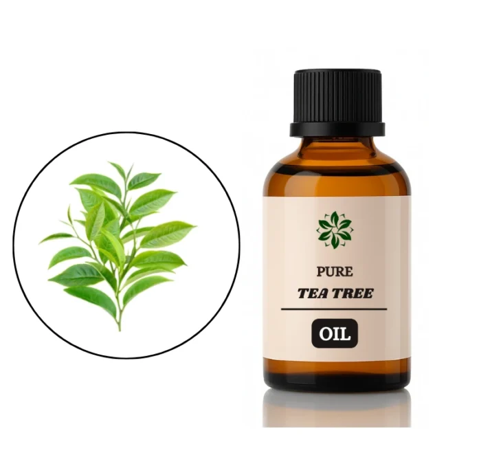 tea tree oil price in pakistan a