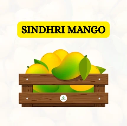 Sindhri Mango price in pakistan
