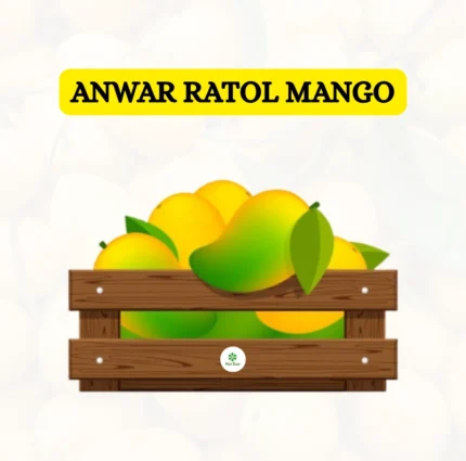anwar ratol mango price in pakistan