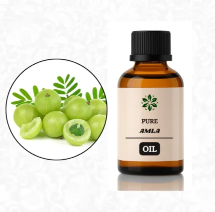 amla oil price in pakistan