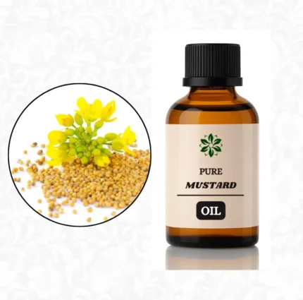 mustard oil price in pakistan today